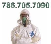 Miami Mold Remediation Pros image 1